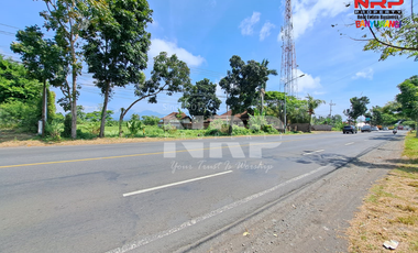 Dijual Tanah Luas di Utara Polsek Kabat - Banyuwangi