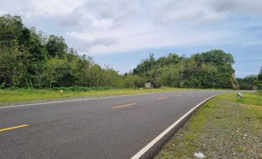 Tanah Murah Area Girisubo Cocok Untuk Univesitas Hotel Dan Resort