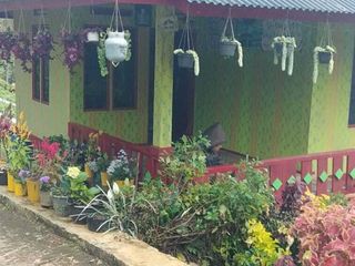 Dijual lahan dan rumah udara dingin