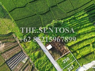 TANAH SIAP BANGUN KEDUNGU dekat NUANU