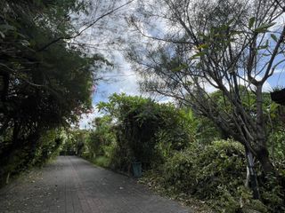 For Sale Leasehold Land in Duyung Beach Walking distance to the beach