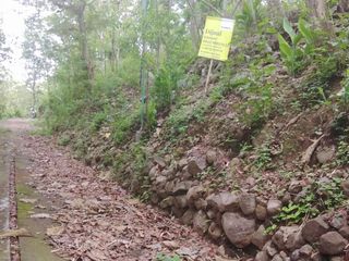 Tanah di Desa Kamal kecamatan Bulu Sukoharjo