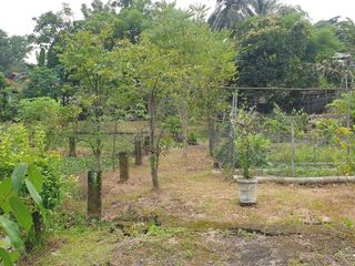 Tanah Di Lokasi Strategis Dekat Puspitek Serpong Cocok Untuk Hunian