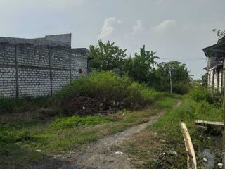 Tanah Murah Metatu Benjeng Gresik Dijual cpt B.U Poll 350 m Jl. Raya