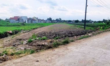 Tanah Dijual di Utara Kampus UMY Jogja, Bisa cicil 24 X