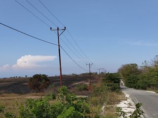 Dijual Murah Tanah Pertanian