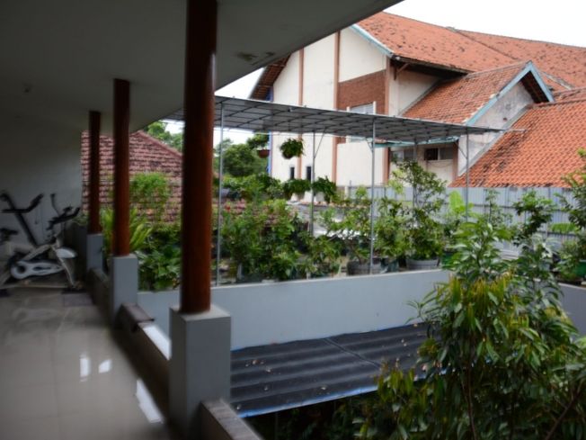 place photo 26