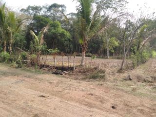 TANAH MARGASARI TIGARAKSA DIJUAL CEPAT BU BANGET