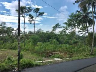 Tanah kosong asri kompleks wisata Baturaden Purwokerto