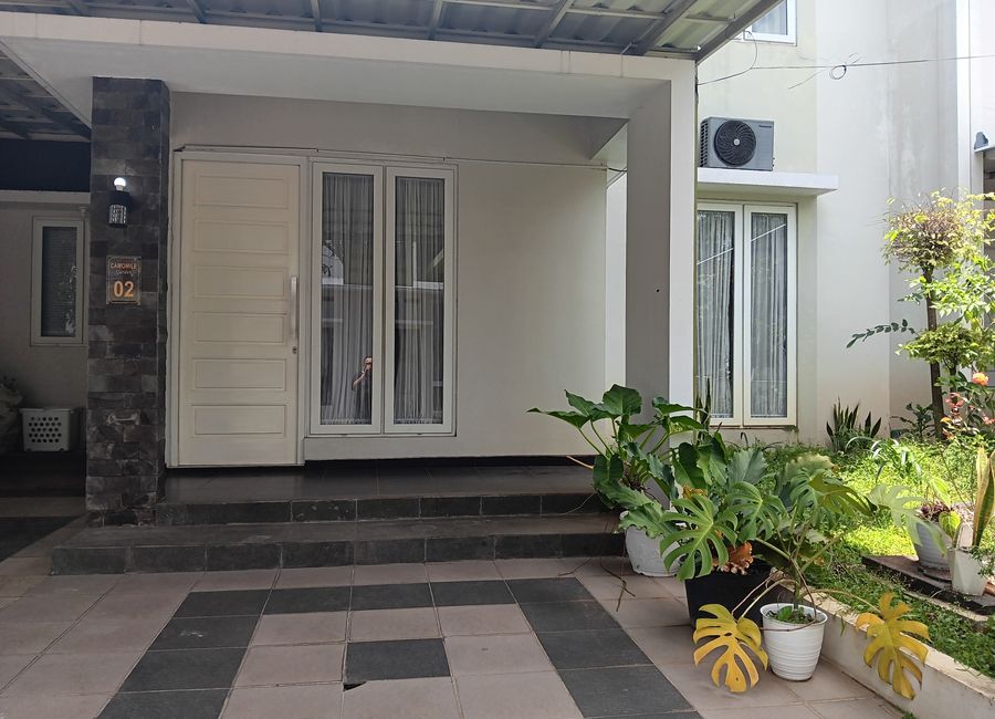 place photo 2