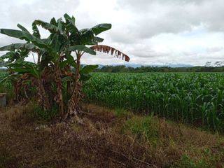Tanah 19,7 Ha di Jl Mistar Cokrokusumo Banjar Baru Kalimantan Selatan