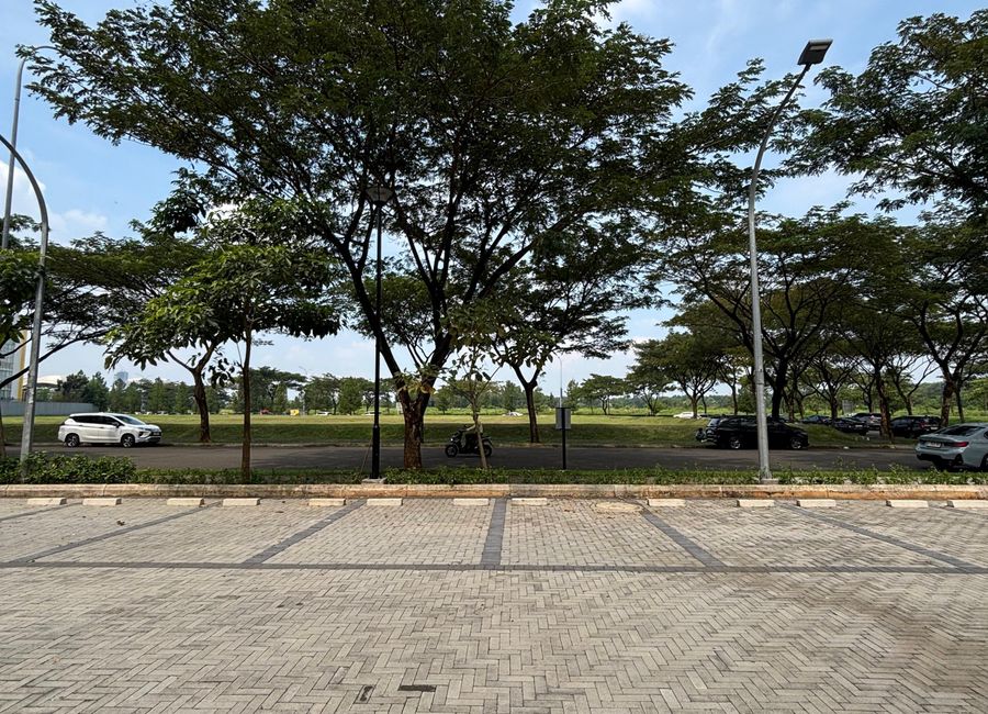 place photo 17