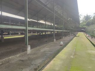 KANDANG AYAM 5000 EKOR DAN KEBUN DI LINGSAR