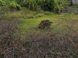 Lahan pertanian 10 HA harga 400 ribu permeter di Sooko, Mojokerto