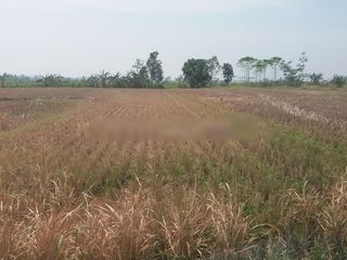Dijual Tanah Mainroad Jln. Raya Cipatik Soreang Bandung Selatan