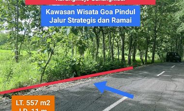 Jual Tanah Mangku Jalan Raya di Bejiharjo Karangmojo Gunung Kidul