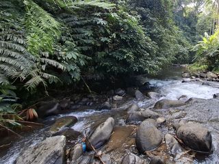 Dijual tanah los sungai view gunung dan sawah