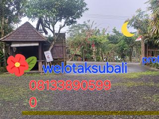 Dijual tanah pinggir jalan utama kintamani kawasan resto dan agro