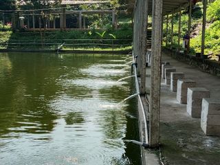 Property paling dicari saat ini : tempat healing di banyumanik