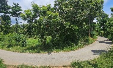 Tanah view laut di dataran tinggi dekat proyek  airport