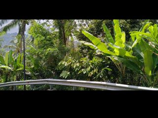 DIJUAL TANAH NEGARA MURAH
