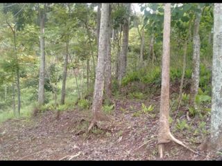Tanah Kebun di Kp Cibiru Nagrog Cicalengka