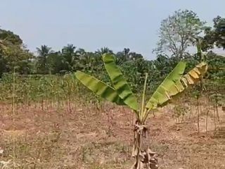 Dijual Kavling di Jl Raya Balaraja, Tangerang