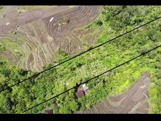 Dijual murah tanah sertifikat SHM lokasi strategis di jembrana bali