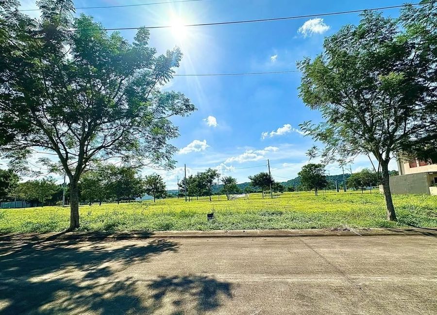 Trade Avenue, Loma, Biñan, Laguna