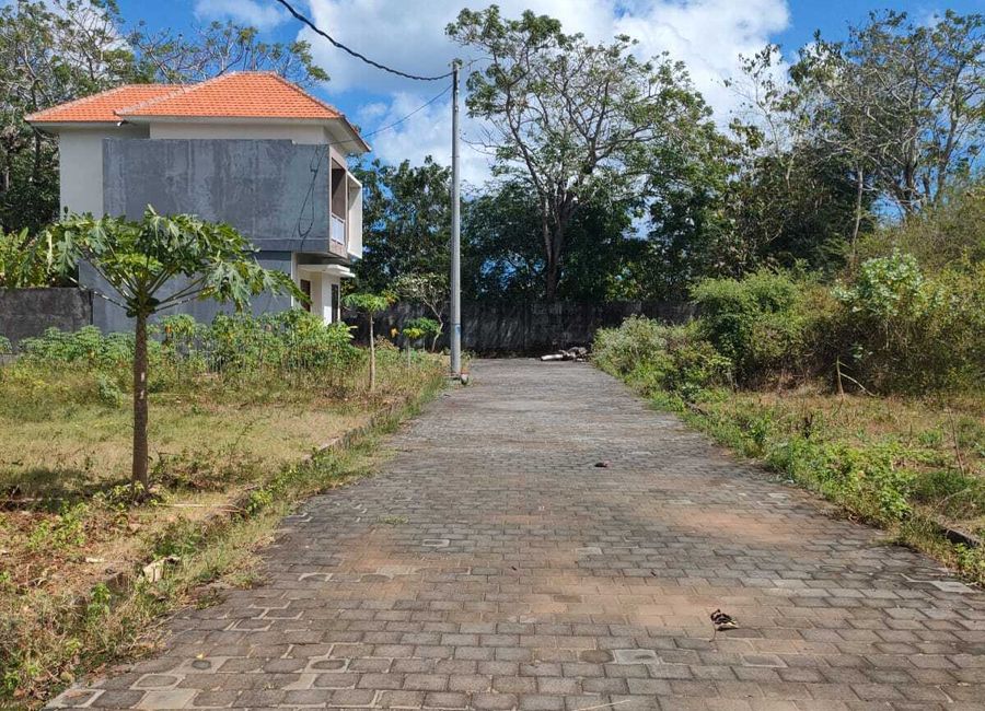 place photo 8