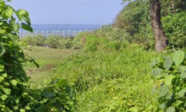 BUC 15 Are View Pantai Lingkungan Villa di Ketewel Gianyar