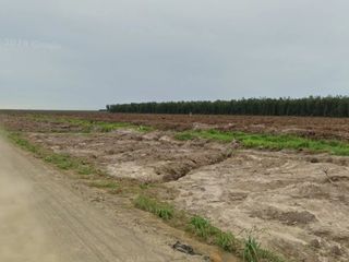 Lanah Kosong di Sungai Baung Tanjung Jabung Barat