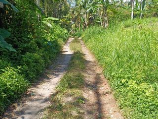 di jual tanah murah cantik di ubud tampaksiring zona pemukiman