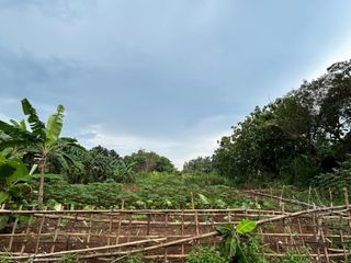 Dijual Tanah Strategis – Cisauk, Serpong  • Luas: 4.000 m²
