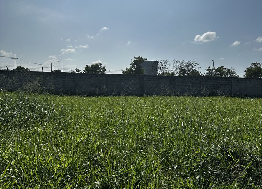Dintano Street, Santo Domingo, Santa Rosa, Laguna
