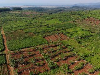 Dijual Harga Promo Tanah Industri  dan SHGB Di Batang Jawa Tengah