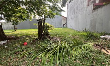 Kavling Boulevard Citra Garden 2 Dijual Harga Sangat Termurah Dibawah NJOP Dibawah Harga Pasaran Siap Bangun Kalideres Jakarta Barat