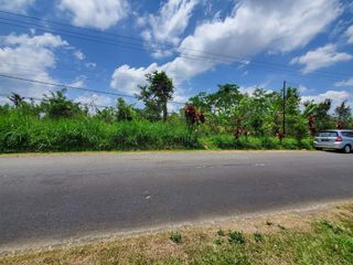dijual tanah pertanian lokasi pelaga