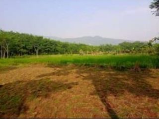 Jual Lelang tanah 5 ha, Jonggol kab.Bogor