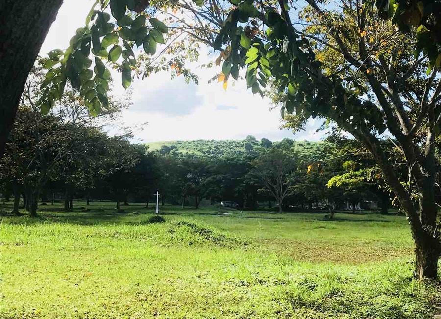 Lanewood Street, Carmona Estates, Timbao, Biñan, Laguna image 3