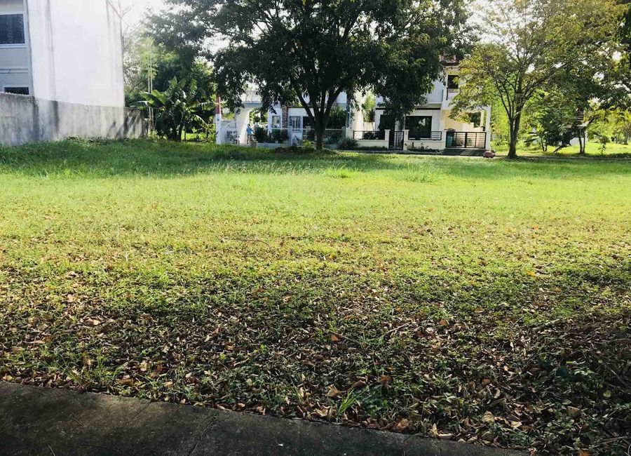 Lanewood Street, Carmona Estates, Timbao, Biñan, Laguna