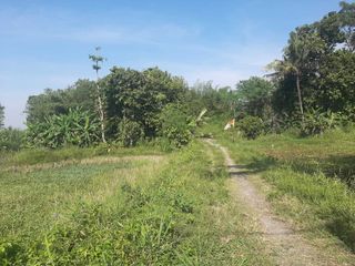 DISEWA LAHAN BERUPA KOLAM/SAWAH Ngemplak Sleman Yogyakarta