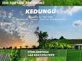 KEDUNGU dekat CANGGU PERERENAN