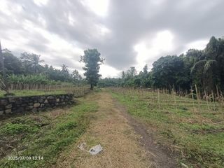 Tanah Zona Pink dekat Pantai Pekutatan dan Medewi Bali