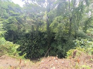 Tanah view Sungai dan Jungle di Kenderan dekat Ubud Bali