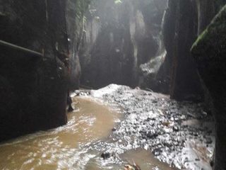 Tanah View Sungai dan Jungle 30 Menit dari Ubud Bali