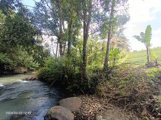 Tanah view sungai dan sawah dekat Villa Bali Lush