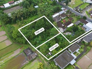 Tanah Kebun sejuk  strategis Luwus Baturiti Tabanan Bali