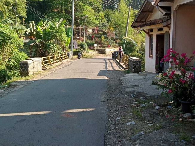 place photo 11