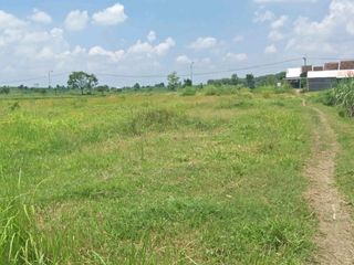 Disewakan Murah Tanah Gudang dan Industri Dawarblandong, Mojokerto